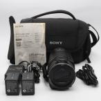 SONY Handycam FDR-AX45 ブラ�