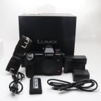PANASONIC LUMIX DC-S1H