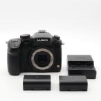 パナソニック ミラーレス一眼カメラ ルミックス GH3 ボディ 1605万画素 ブラック DMC-GH3-K