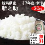 新米 30kg 令和7年 送料無料 新潟県 新之助 1等玄米