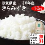 米 10kg 送料無料 滋賀県 きらみずき 1等玄米
