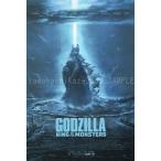 映画ポスター ゴジラ キングオブモンスターズ Godzilla King of the Monsters ゴジラ 27×40inc (68.9×101.6cm) US版 両面印刷 ds5