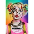 映画ポスター バーズオブプレイ ハーレイクイン Birds of Prey DC 27×40inc (68.9×101.6cm) US版 両面印刷 ds1