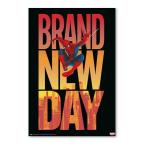  Человек-паук Blanc новый tei фильм постер Brand New Day US версия 24×36 дюймовый (61×91.5cm) of5