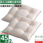 ショッピング座布団 座布団 中身 洗える 日本製 45cm  2枚 テイジン 抗菌 防臭 防ダニ 綿 厚い 車用 椅子  カバー おしゃれ ヌード座布団
