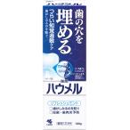 ハウメル 知覚過敏ケア ペースト 薬用ハミガキ 100g 歯の穴を埋める 小林製薬 【医薬部外品】 1個