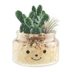 サボテン 造花 鉢植え 消臭 抗菌 防汚 CT触媒 キシマ アーティフィシャルグリーン KH−61152