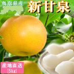  новый . Izumi Tottori груша прямая поставка от производителя бренд груша 5 kilo Tottori груша Tottori префектура производство нет нет подарок на Bon Festival жара средний видеть Mai ... подарок подарок День почитания пожилых людей подарок O-Bon ... утро ..