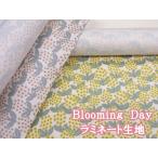 Blooming Day цветок * цветочный принт oks ткань ламинирование матирующий 