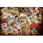 ショッピングパズル ジグソーパズル 2016ベリースモールピース 名探偵コナン 卓上の証拠写真 (50×75cm) 　22-602s(エポック社)梱80cm