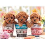 ジグソーパズル600ピース犬こいぬの気持ちP66-225梱60cm