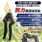 ショッピングはさみ 剪定ばさみ  サクサク切れる 握りやすい 庭木の剪定 2段階調節可能 (金 + 黒色) フッ素コーティング 剪定バサミ 剪定鋏 せんていばさみ FORESIA フォレシア