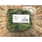 有機ベビーリーフ　約30g