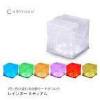 ソーラー式エコライト レインボー ミディアム CTSR-M キャリーザサン CARRY THE SUN 進化したソーラーパフ solar puff ランドポート 防災グッズ 防災用品