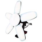 PRO standard PNT-MB LEDペンタゴンMB オールブラック 2000lm〜10000lm無段階調光式 091128 '