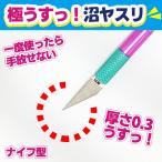 アイガーツール 極うすッ！ 沼ヤスリ 0.3mm ナイフ型 22° #800 EDU22-3800F ホルダー付き