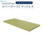 パラマウントベッド 介護ベッド 電動ベッド エバーリーフ７ マットレス KE-541T