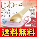 送料無料/規格内 アイスクリームスプーン 2本組 溶かしてすくう新発想 アルミ製 熱伝導 アイス専用 食器 まとめ買い 便利グッズ ◇ とろけて食べごろセット