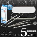 歯石取り スケーラー 5点 自分で取