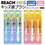 зубная щетка ... для Reach Kids детский зубная щетка Pokemon можно выбрать 2 вид. .... период для *. зуб период для REACH Pocket Monster /60N* Reach Kids 