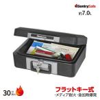  цент Lee sentry 1160BK портативный type выдерживающий огонь шкаф для хранения Flat ключей 7.2kg