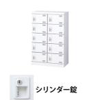  сырой .SLBW-M10-S2 2 ряд 5 уровень 10 человек для обувь запирающийся шкафчик цилиндр таблеток белый (96213) ( масса :22kg)