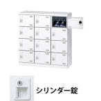  сырой .SLBW-M12-S2 3 ряд 5 уровень 12 человек для обувь запирающийся шкафчик цилиндр таблеток белый (96225) ( масса :27kg)