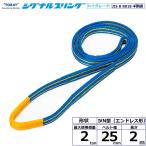東レインターナショナル シグナルスリングHG SG4N エンドレス形 2ton 幅25mm 長さ2m (40388)