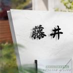 表札 ステンレス 1文字価格 ステンレス切り文字 漢字バラ文字表札 切文字 自動車用塗料 レーザーカット切り文字 バラ一文字 切り文字 gs-nmpl-1093