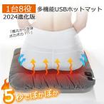 ホットマット ホットカーペット 一人用 電気マット 椅子 洗える ミニマット 45×45cm 座布団 シートヒーター USB ミニ ホットカーシート あったか