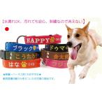 文字が消えない迷子札刺繍首輪日本製...