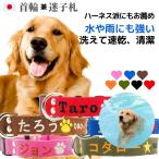 迷子札 犬 Lサイズ 迷子札首輪 中型