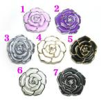 ����ꥢ���Х鷿���硡1�ġ���60mm��