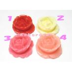 �������㥹�ץ�ե���1�ġ���17������