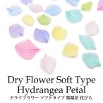  dry flower soft type purple . flower petal all sorts 10 sheets entering (11-21)