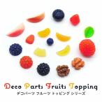 ショッピングデコ デコ パーツ フルーツ トッピング シリーズ