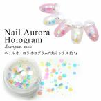  ногти Aurora тент грамм шестиугольник Mix примерно 1g в кейсе 