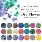儚げ もやもや ドライフラワー 8~10枚 ケース入り ネイルパーツ 押し花 ネイル パーツ フラワー
