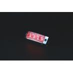 JET 531396 LED4 超ミニフラットマーカーランプ DC24V レッド