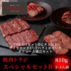 ショッピング牛タン 焼肉 牛肉 御祝い スペシャルセットB 810g 3〜4人前 牛タン 黒毛和牛 カルビ ハラミ 豚トロ BBQ バーベキュー お取り寄せ お礼 入学祝