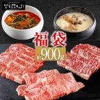 送料無料 焼肉 福袋 セット ゴールド 900g 黒毛和牛大判切り落とし 和牛カルビ ハラミ ホルモン 豚トロ 冷凍スープ BBQ バーベキュー