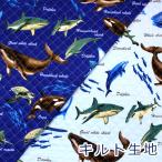  ткань ткань стеганый цвет ..samesame иллюстрированная книга Shark рыба oks стеганое полотно хлопок 100% примерно 105cm ширина QHSK813.. пачка 0.5m соответствует 10cm единица измерения цена 
