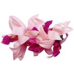  хула украшение для волос van dao- Kid зажим розовый 