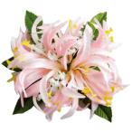  хула украшение для волос волосы зажим Spider Lilly bro Sam зажим розовый 