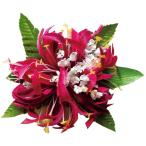  хула украшение для волос волосы зажим Spider Lilly bro Sam зажим красный красный 