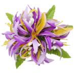  хула украшение для волос волосы зажим Spider Lilly bro Sam зажим violet фиолетовый 