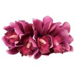  организовать волосы зажим KC-235simbiju-m8 колесо зажим ( темный лиловый )*. покрой делаем 