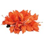  организовать волосы зажим KC-259 двойной Lilly зажим ( orange )*. покрой делаем 