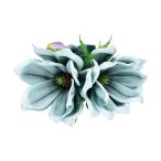  организовать волосы зажим KC-288 Magno задний зажим ( голубой )*. покрой делаем 