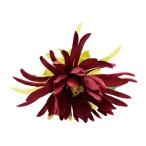  организовать волосы зажим KC-294 Queen of the Night зажим ( красота )*. покрой делаем 